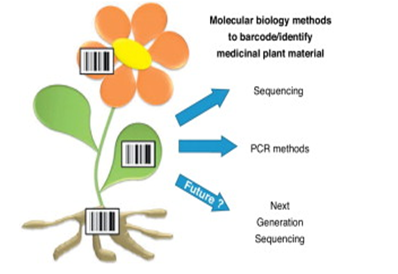 How are barcodes made?